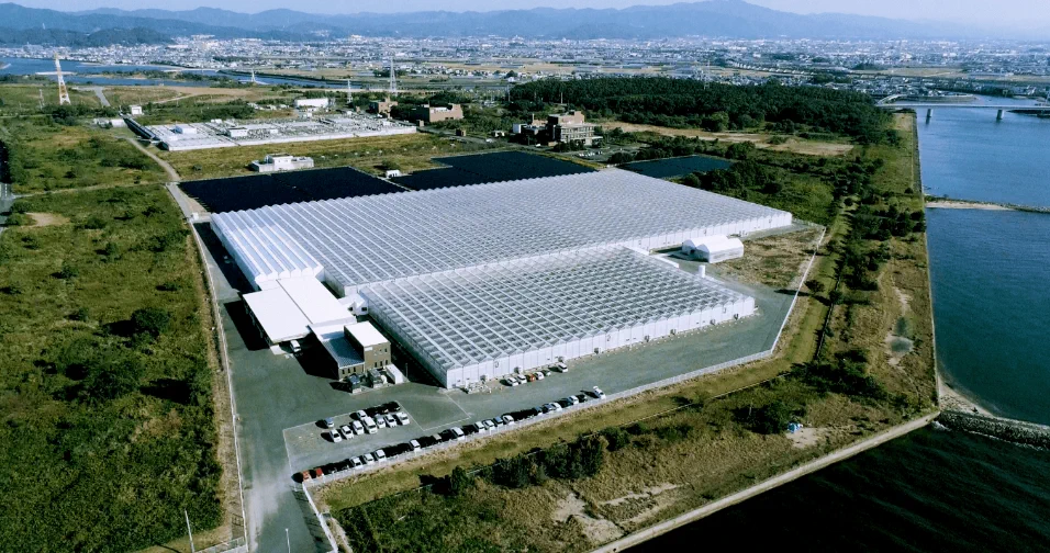 イノチオアグリ株式会社の農業ハウス